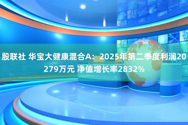 股联社 华宝大健康混合A:2025年第二季度利润20279万元 净值增长率2832%
