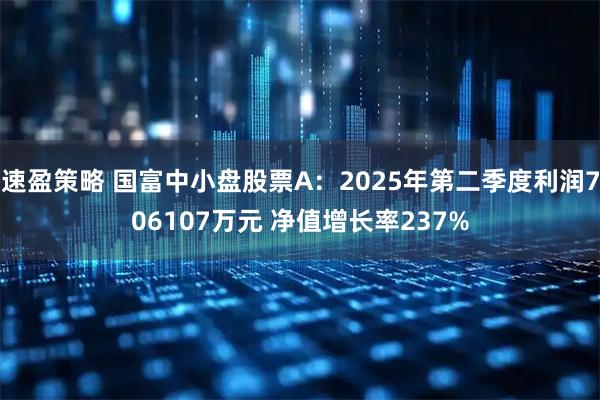 速盈策略 国富中小盘股票A:2025年第二季度利润706107万元 净值增长率237%