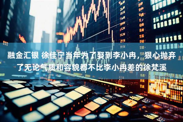 融金汇银 徐佳宁当年为了娶到李小冉,狠心抛弃了无论气质和容貌都不比李小冉差的徐梵溪