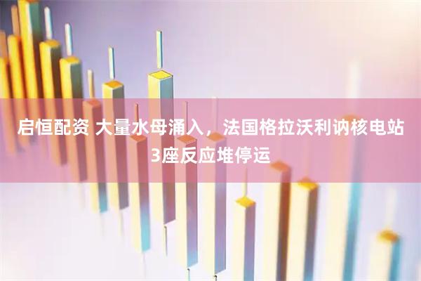 启恒配资 大量水母涌入，法国格拉沃利讷核电站3座反应堆停运
